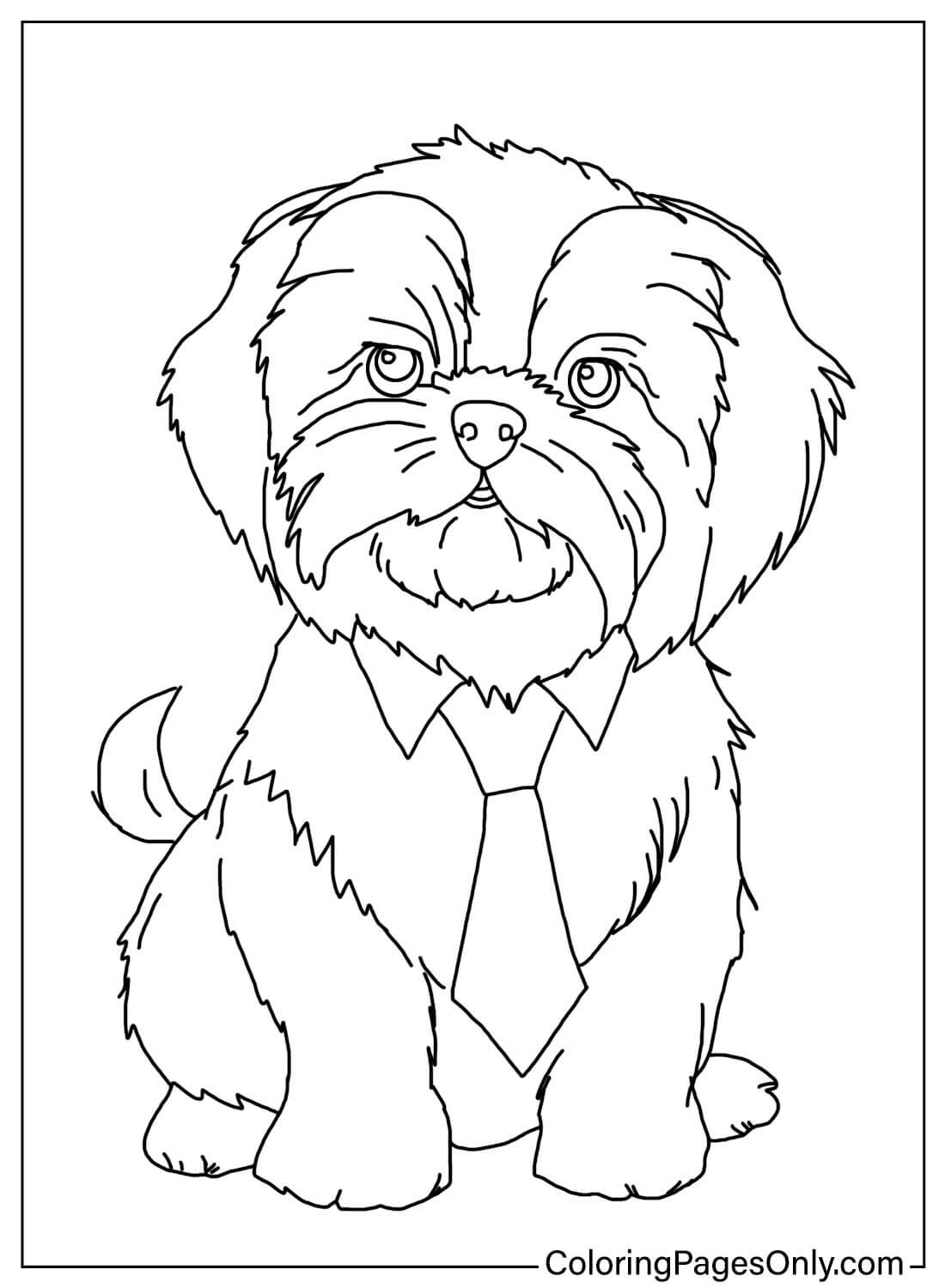 Printable shih tzu coloring page