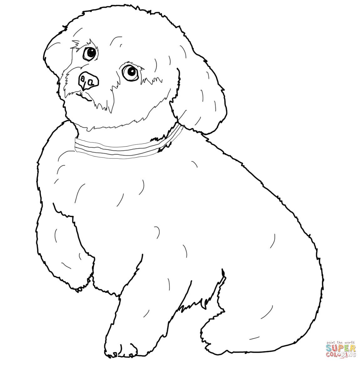 Short hair maltese dog dog coloring page puppy coloring pages animal coloring pages