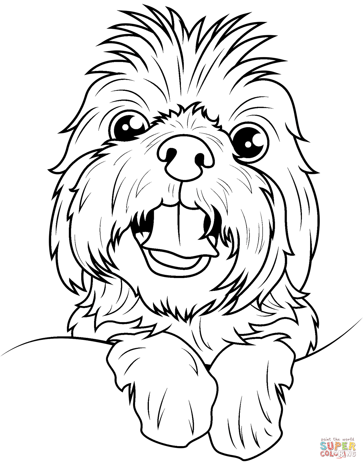 Shih tzu coloring page free printable coloring pages