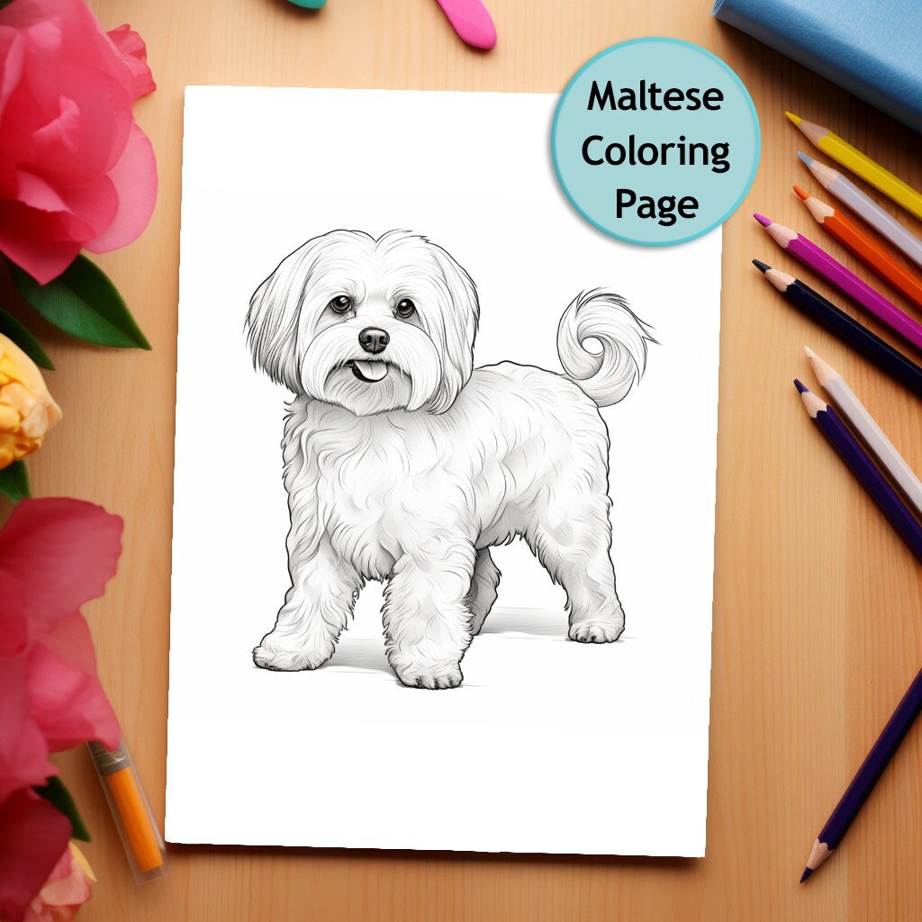 Maltese dog coloring page dog portrait printable coloring page coloring for adults and kids png instant download mercial use instant download