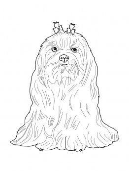 Maltese dog coloring page super coloring dog coloring page puppy coloring pages dog coloring book