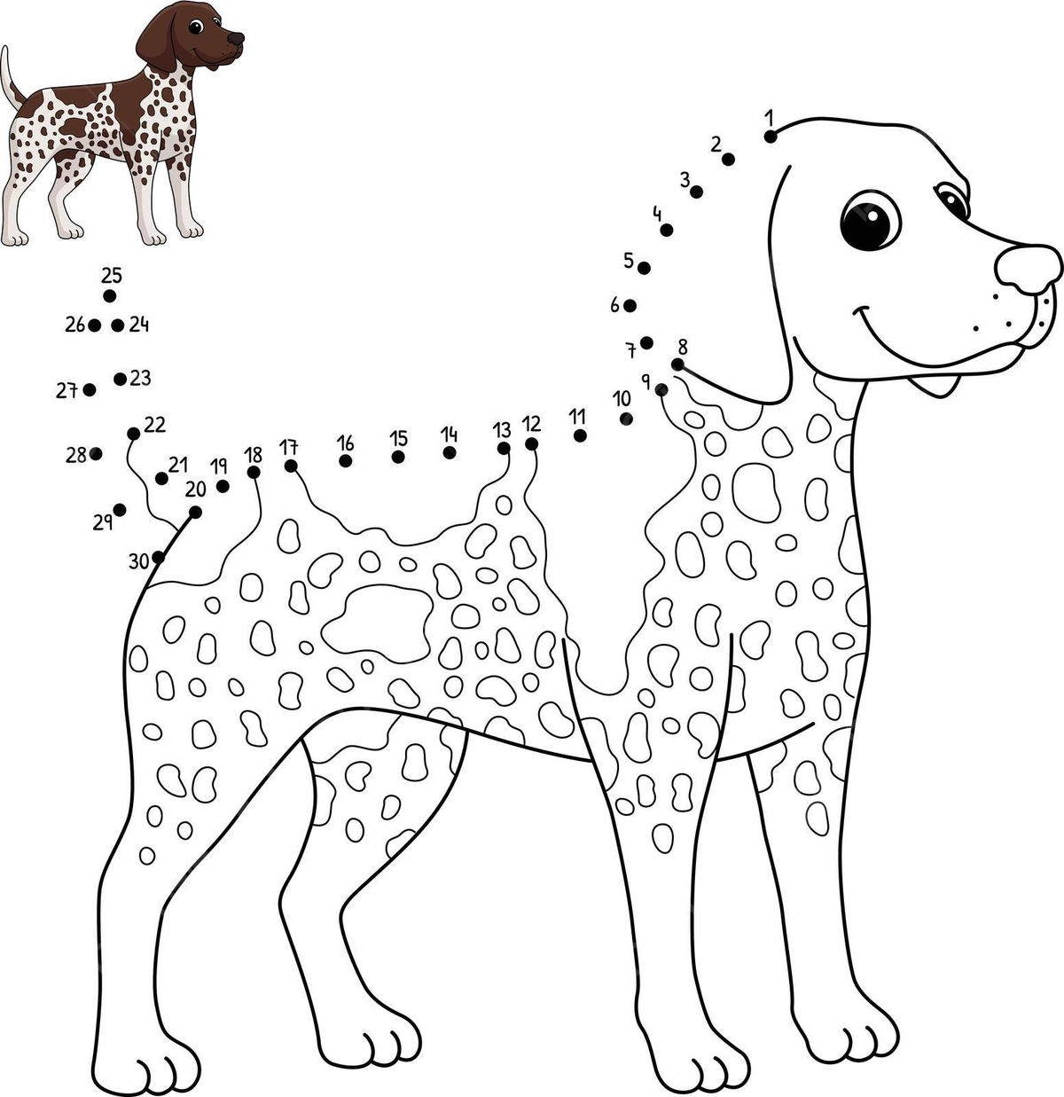 German shorthaired pointer png transparent images free download vector files