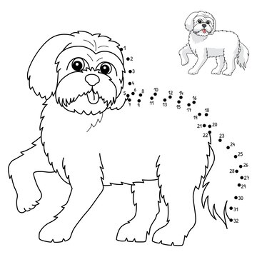 Premium vector dot to dot maltese dog isolated coloring page