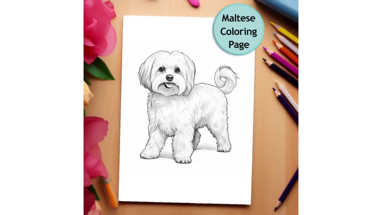 Maltese dog coloring page dog portrait printable coloring page coloring for adults and kids png instant download mercial use instant download