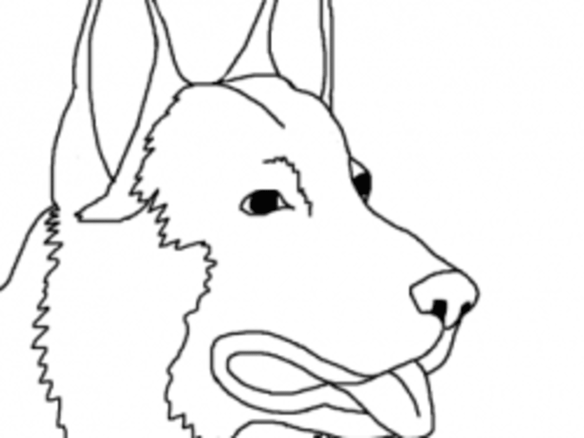 Dog breed coloring pages