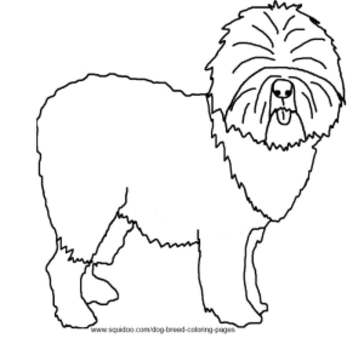 Dog breed coloring pages