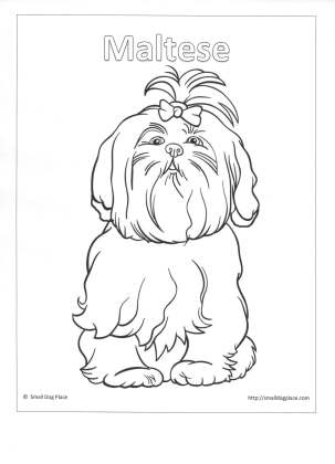 Kids puppy coloring pages all free