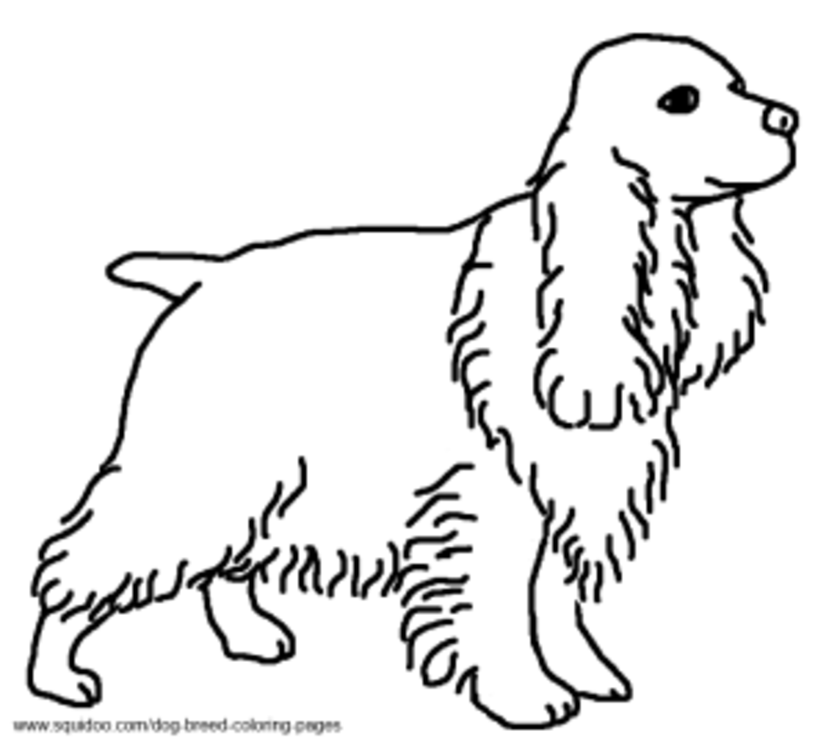 Dog breed coloring pages