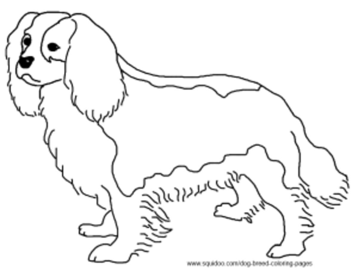 Dog breed coloring pages