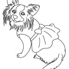 Maltese dog puppy coloring pages