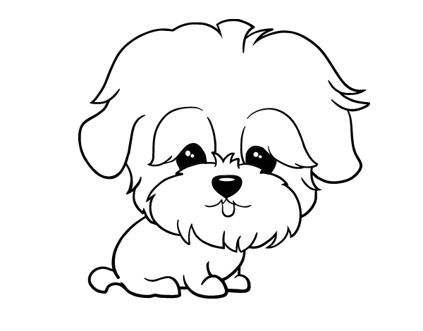 Maltese coloring page