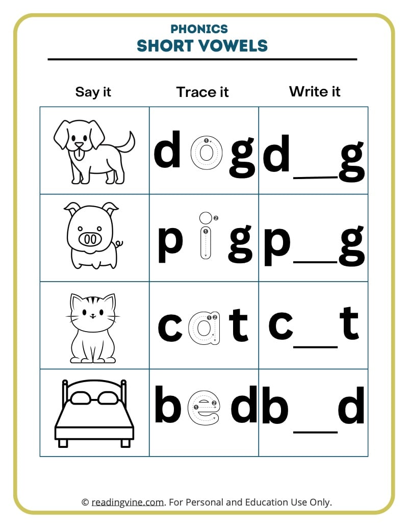 Short vowel worksheets