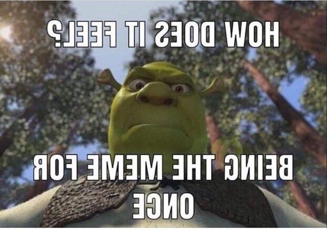 Of the best shrek memes the internet made popular