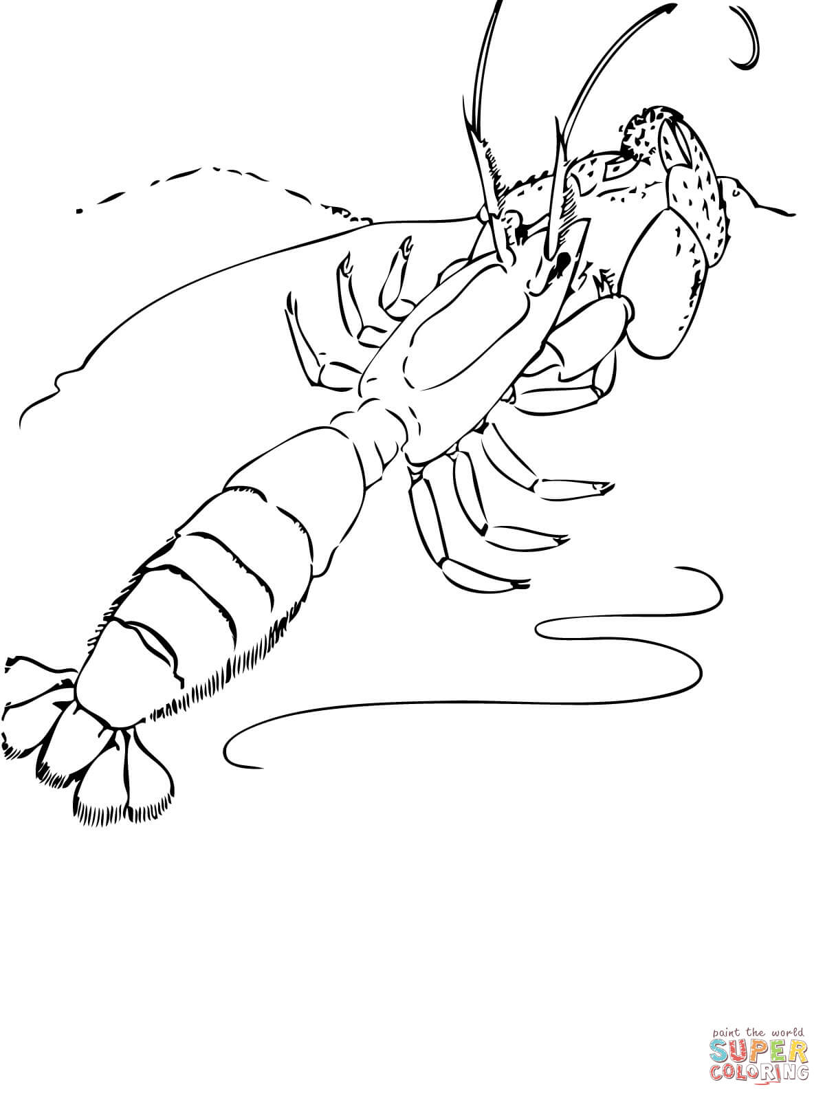 Ghost shrimp coloring page free printable coloring pages