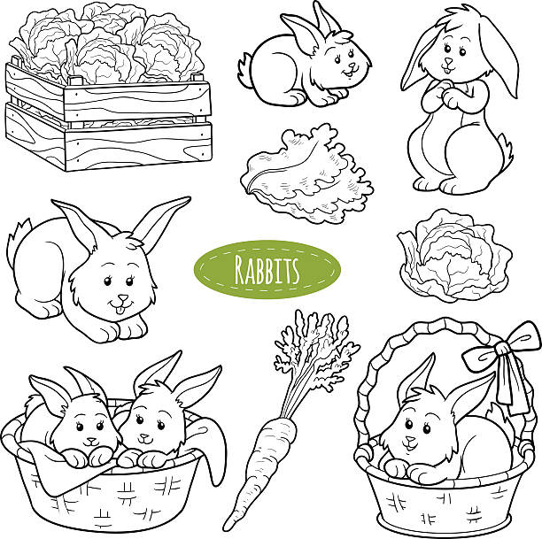 Shy bunny stock illustrations royalty