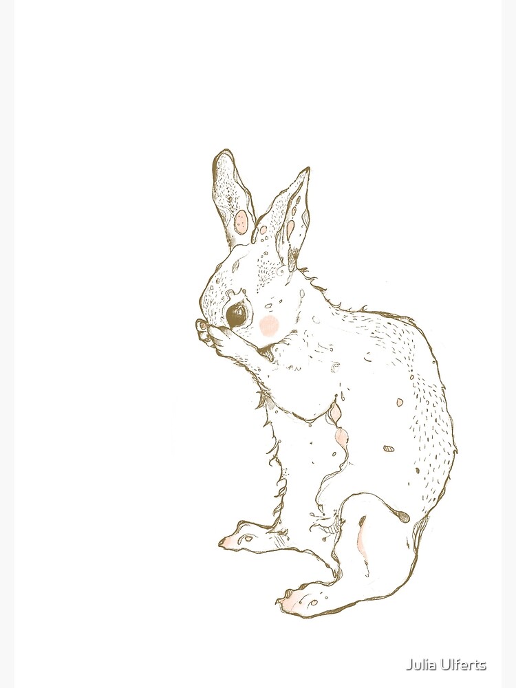 Cute shy bunny illustration line drawing poster by julia ulferts