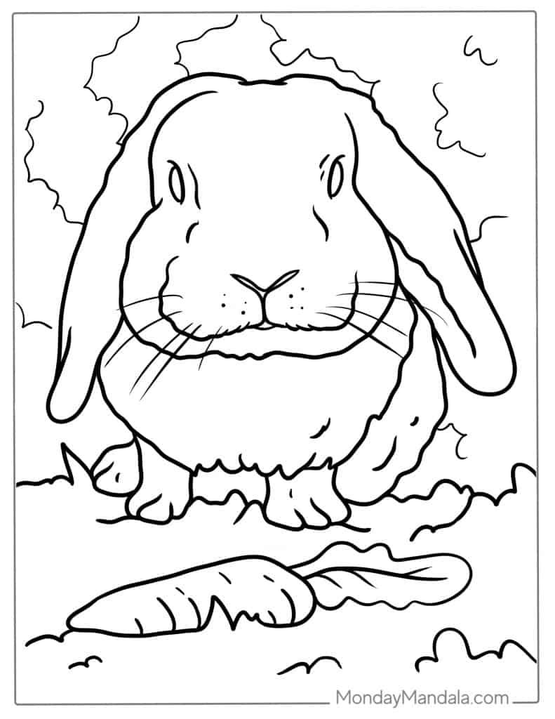 Rabbit coloring pages free pdf printables