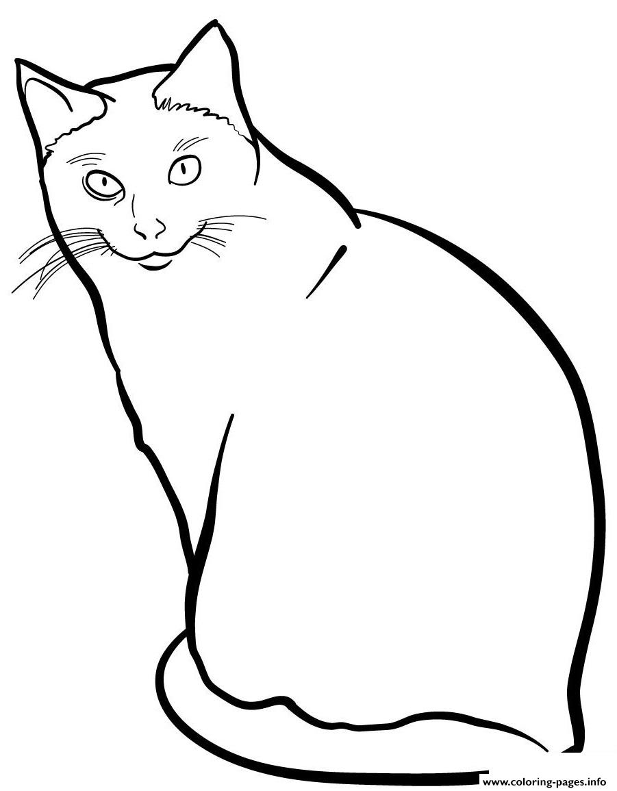 Siamese cat coloring page printable