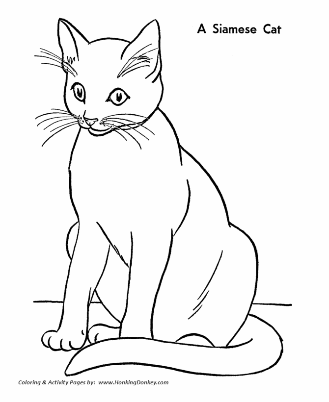 Cat coloring pages printable siamese cat coloring page