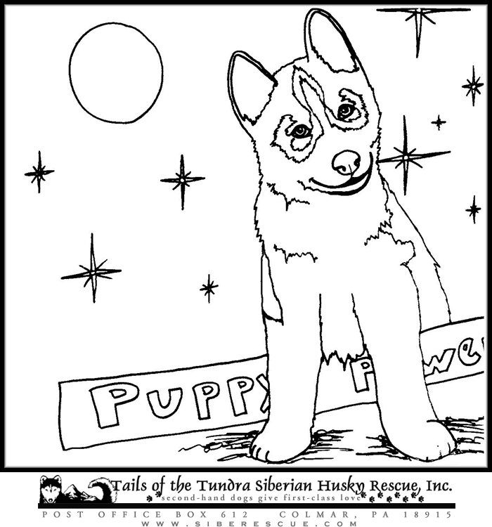 Cute husky coloring pages