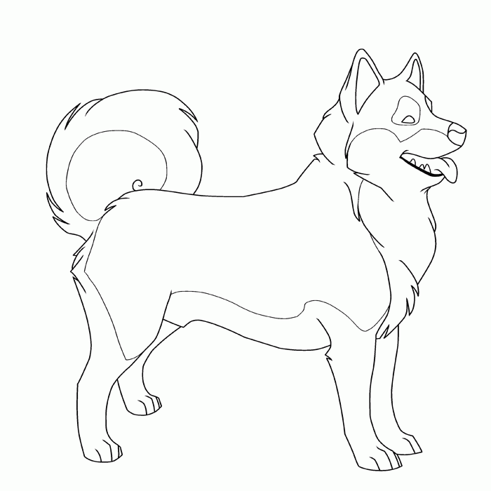 Husky coloring pages