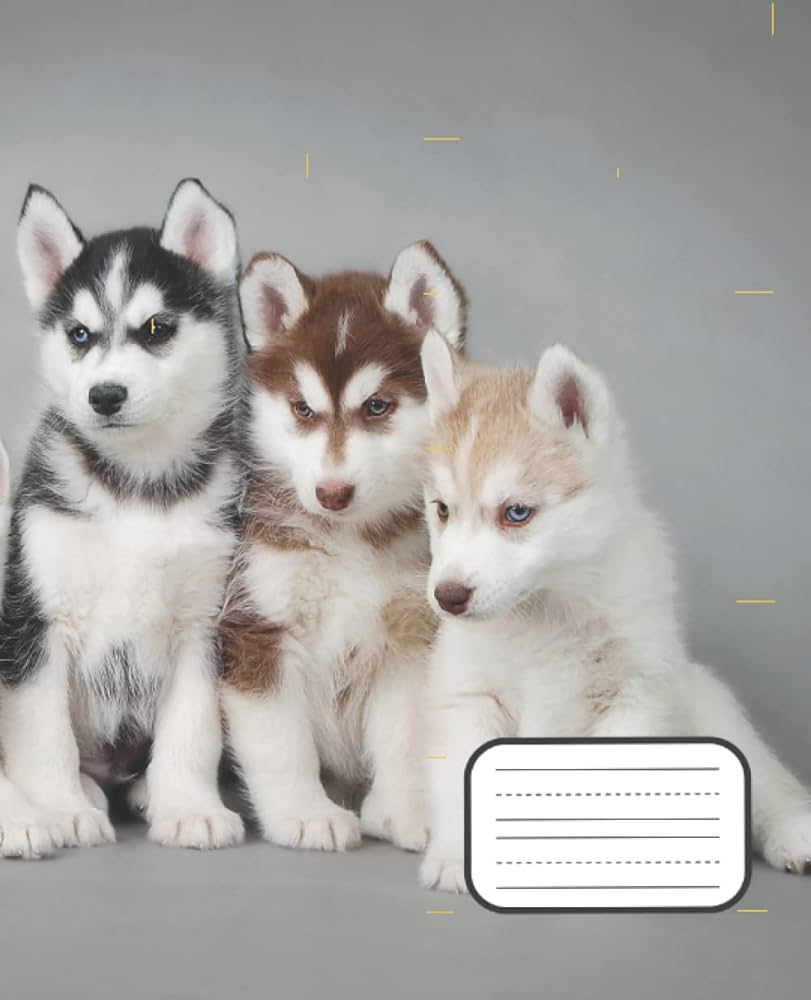 Siberian husky draw and write journal grades k