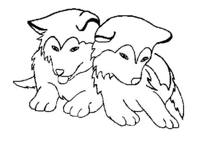 Cute husky puppy coloring pages puppy coloring pages dog coloring page animal coloring pages