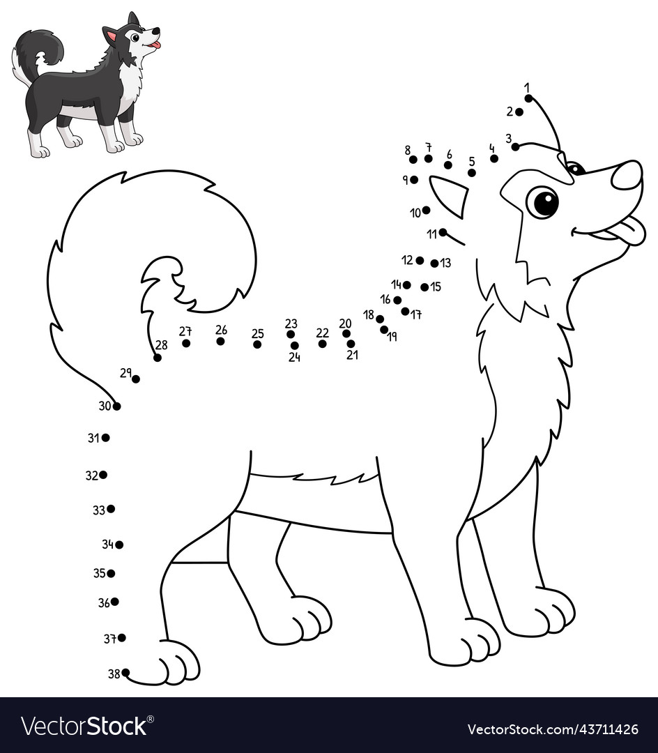 Dot to siberian husky coloring page for kids vector image