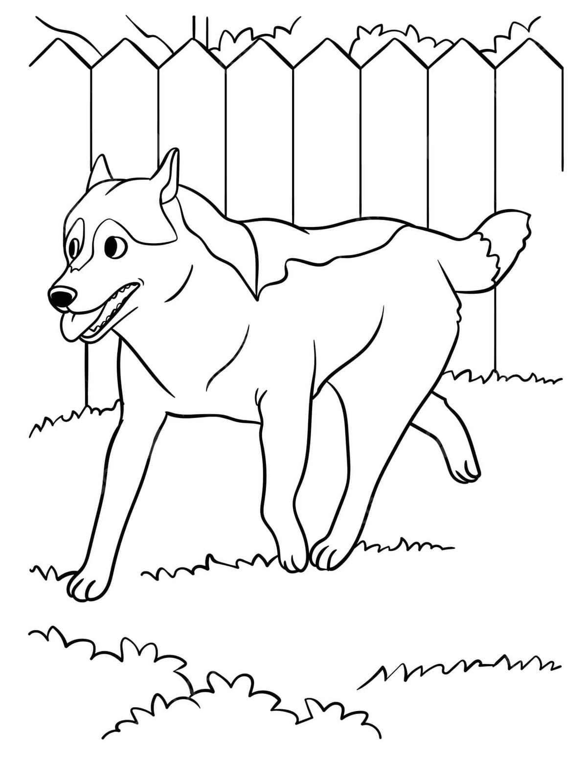 Siberian husky coloring page for kids dog tail drawing school vector school drawing dog drawing wing drawing png and vector with transparent background for free download