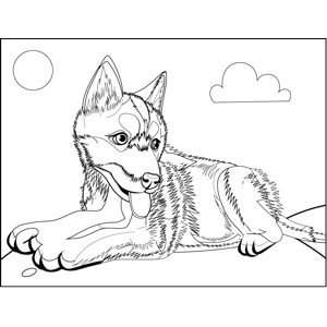 Fluffy husky pup coloring page