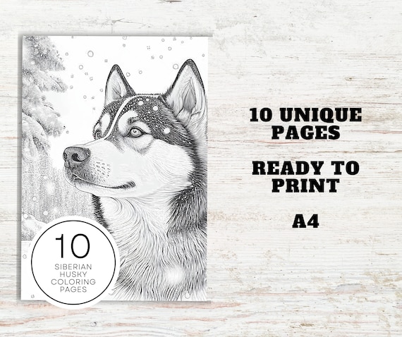 Siberian husky dogs coloring pages a printable pdf dog coloring sheets for teens adults stress relief and relaxation