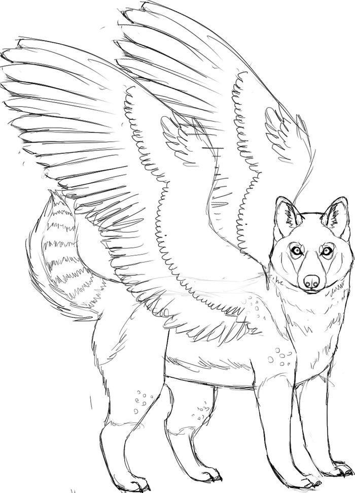 Husky coloring pages pdf