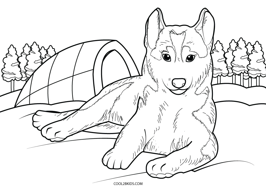 Free printable husky coloring pages for kids