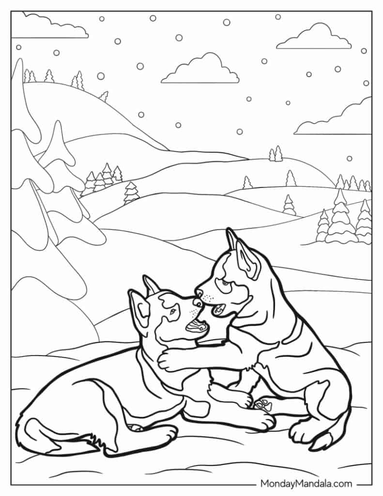 Husky coloring pages free pdf printables