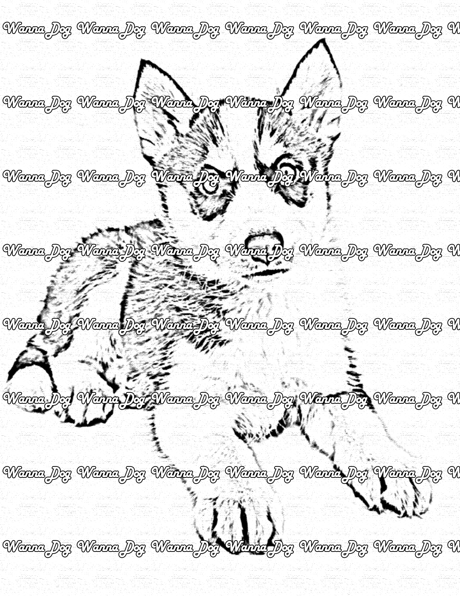 Husky puppy coloring pages â wanna dog