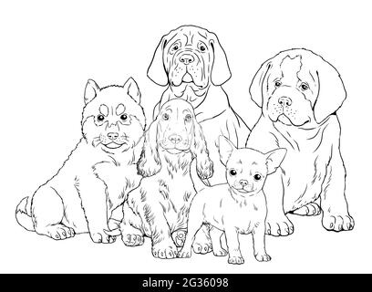 Saint bernard and siberian husky puppy cute dogs puppies coloring template digital illustration stock photo