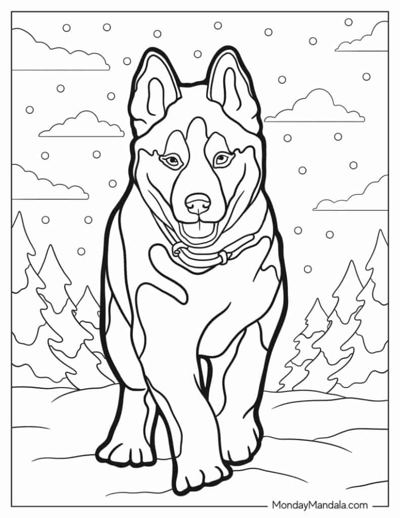 Husky coloring pages free pdf printables