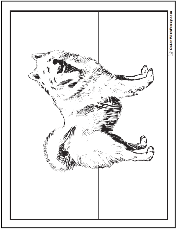 Dog coloring pages â breeds bones and dog houses