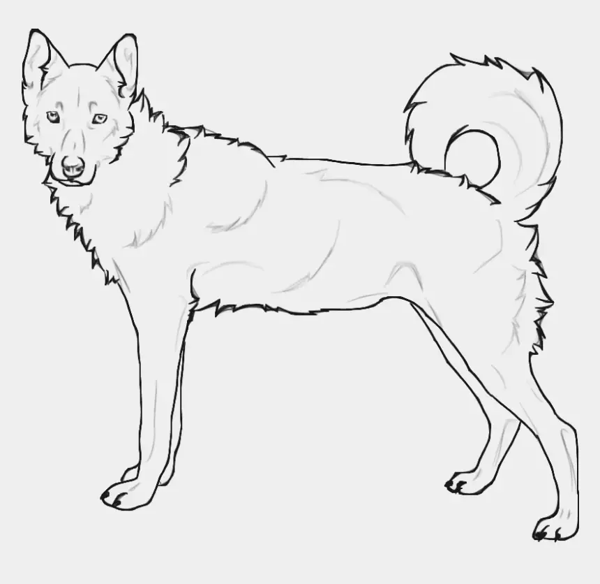 Cute husky coloring pages