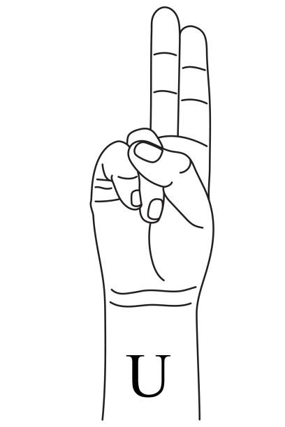 Hand gesture showing letter u on american sign language stock illustration