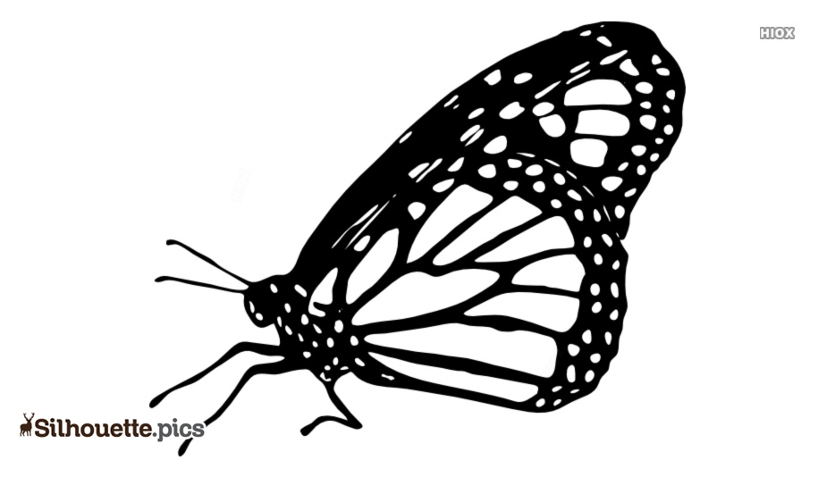 Butterfly stencil designs vector clipart images pictures