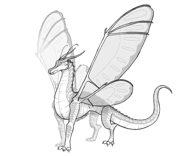 Silkwing in mike holmes style i kinda want to make âa guide to the dragons ofâ thing for the graphic novels should i rwingsoffire