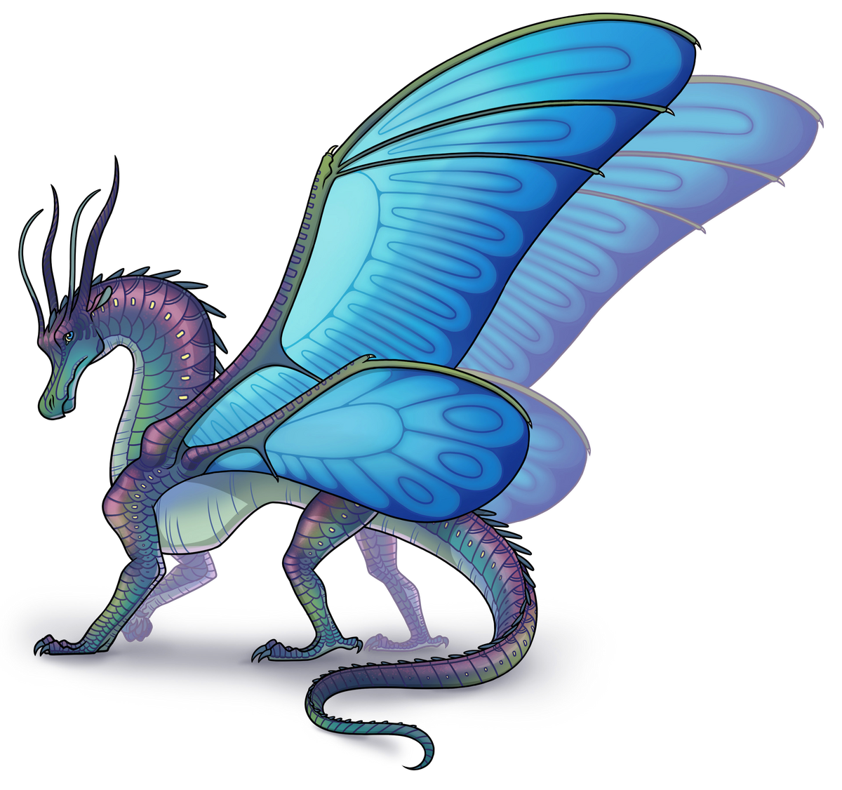 Silkwings wings of fire wiki