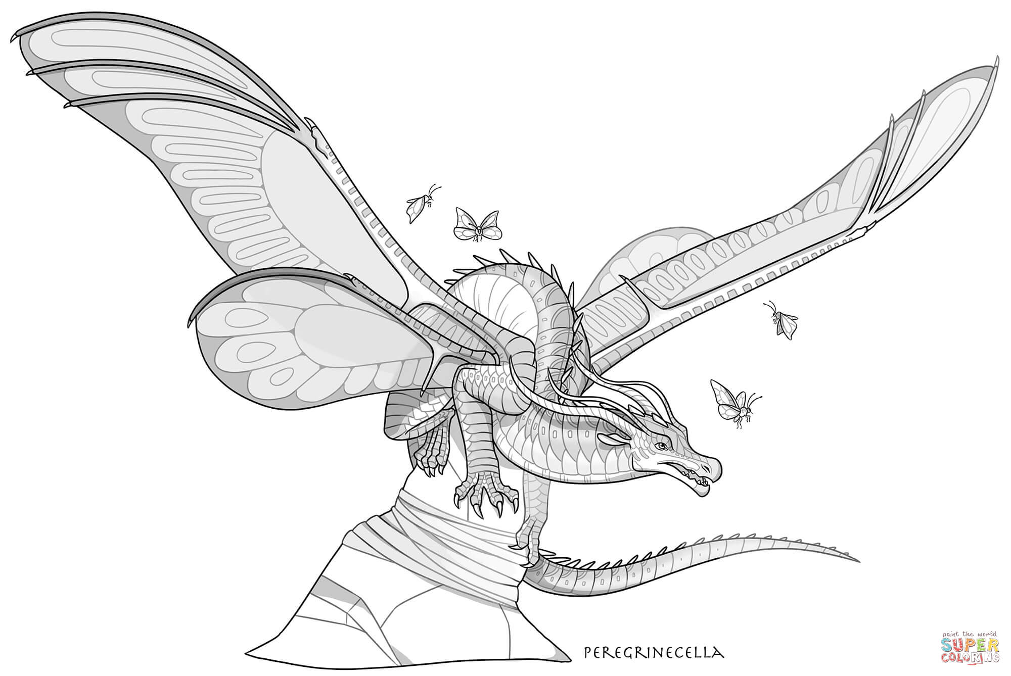 Silkwing dragon coloring page free printable coloring pages