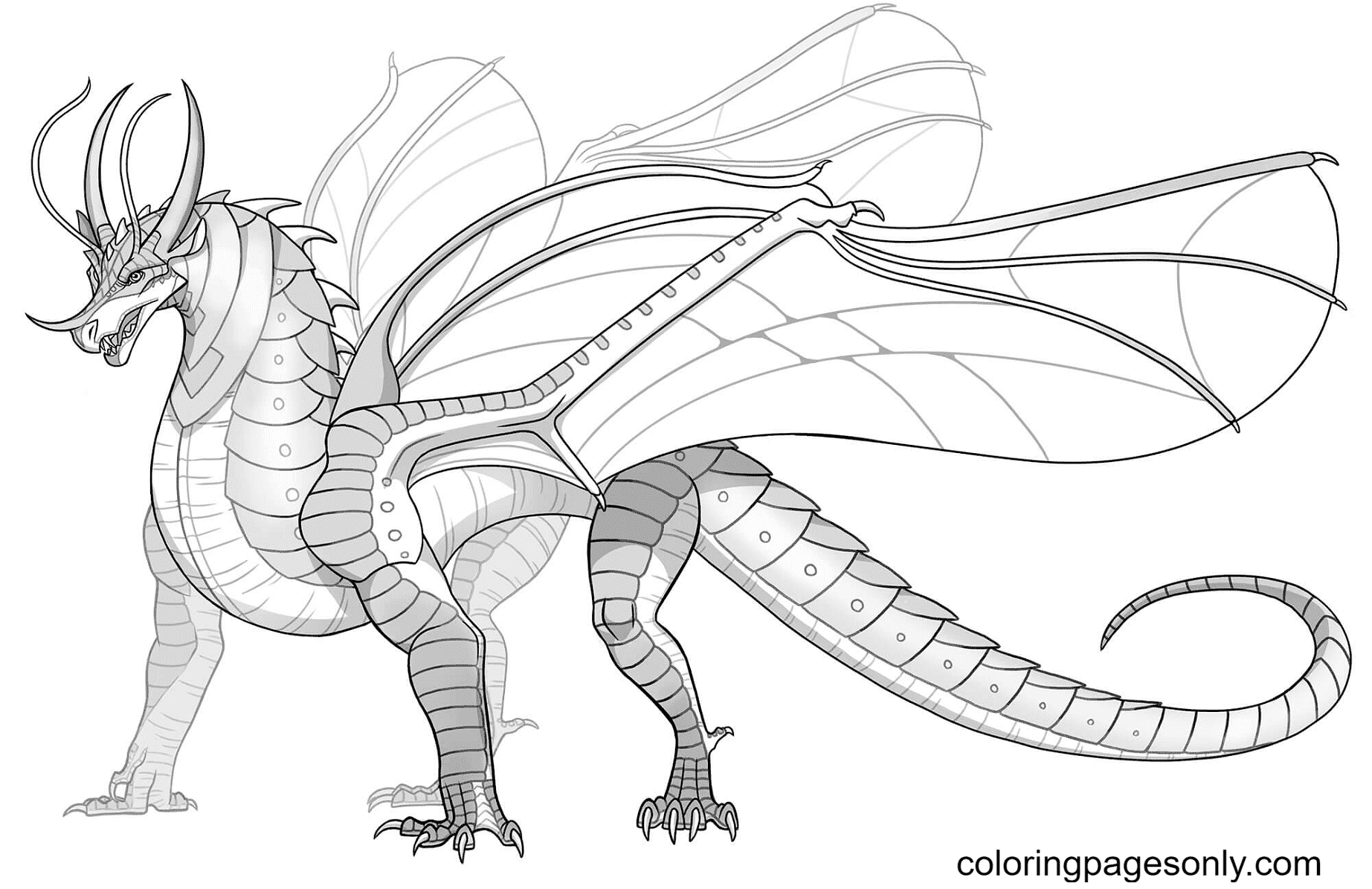 Skywing dragon coloring page