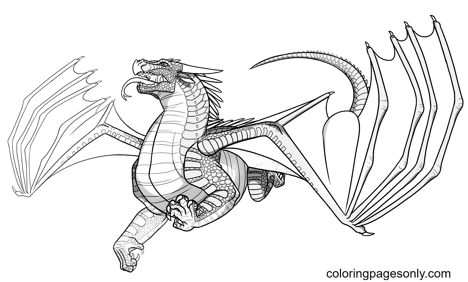 Silkwing dragon coloring page