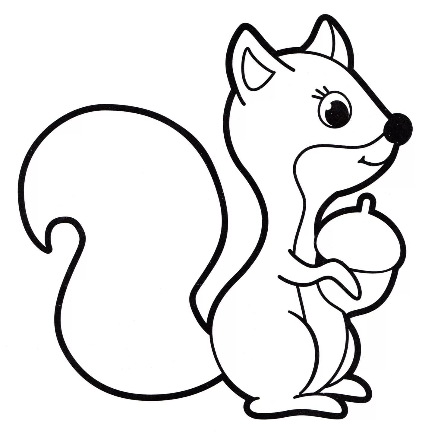 Redesignewco squirrel coloring page penguin coloring pages penguin coloring