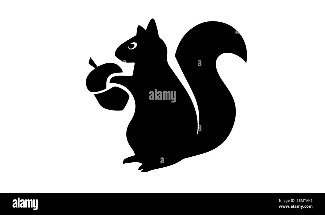 Squirrel silhouette black and white stock photos images