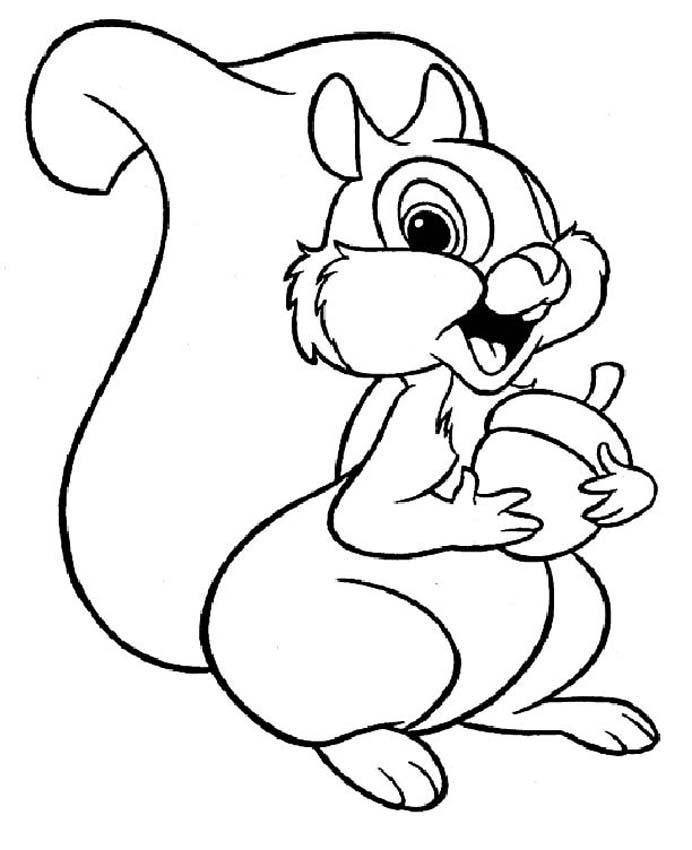 Print and coloring pages squirrel coloring pages dibujo de dilla pãginas pa colore lindas animales pa pint