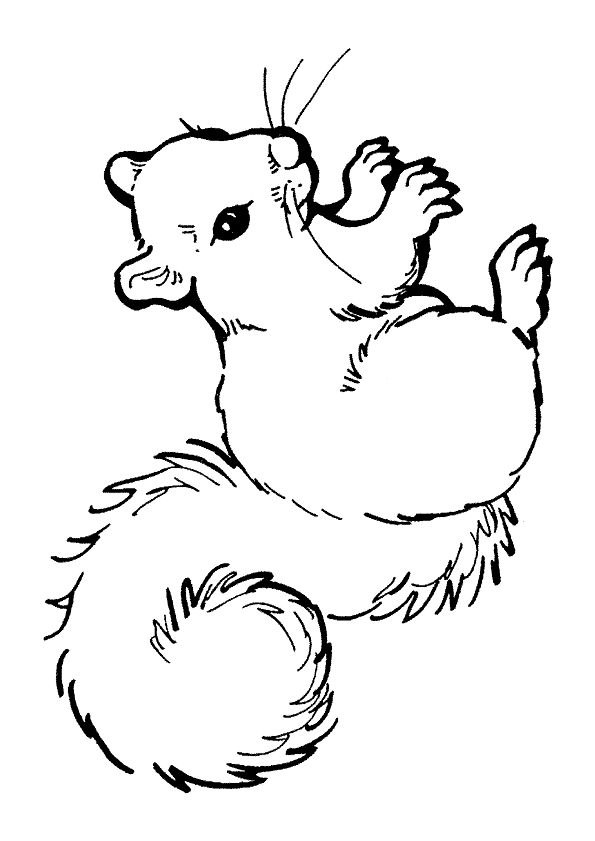 Pin by antonina laeremans on drawings squirrel coloring page animal coloring pag coloring pag